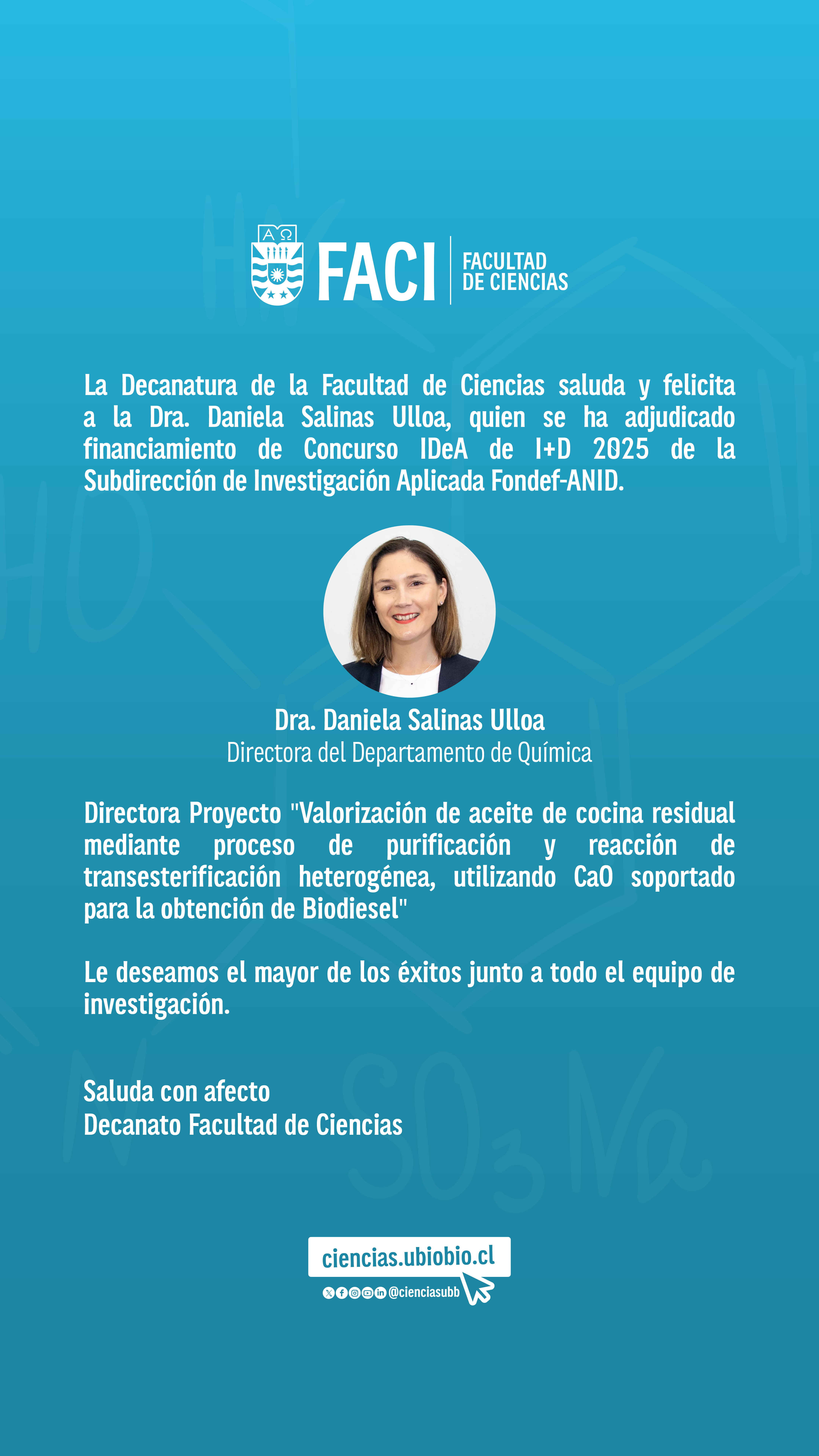 fondef_dsalinas-2025