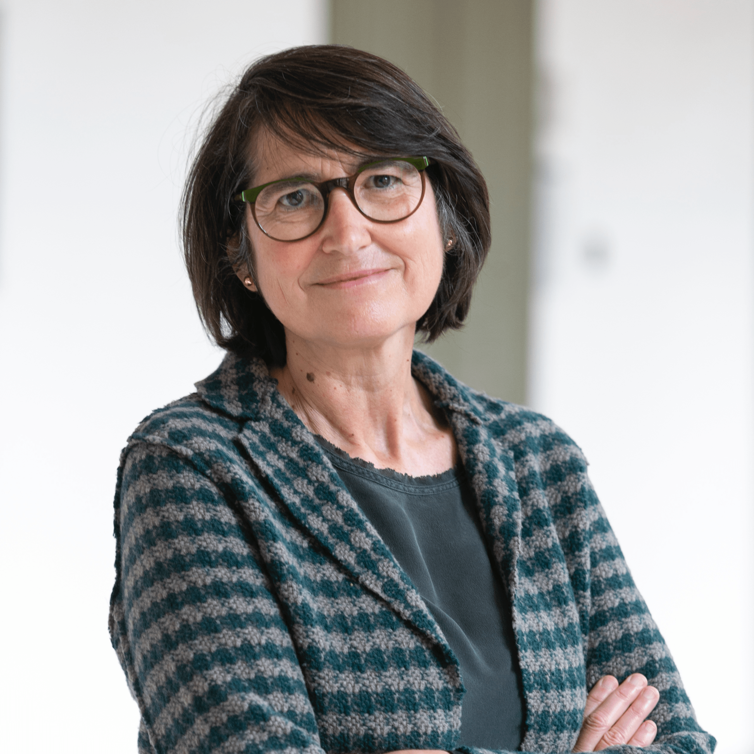 Nombre del Plenarista